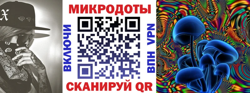 цена наркотик  Шарья  Псилоцибиновые грибы GOLDEN TEACHER 